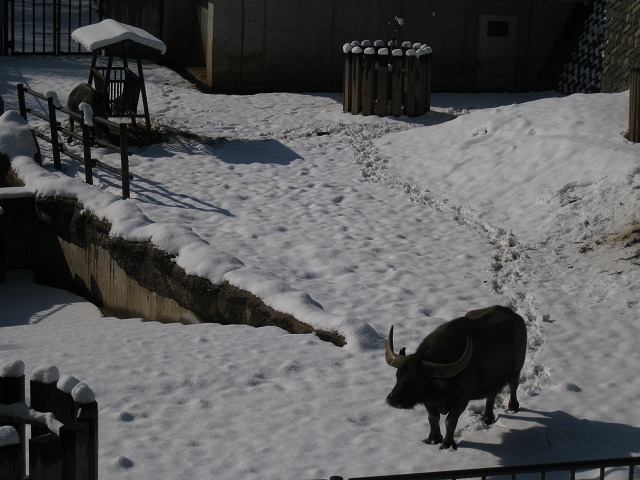 a0188771_23322635.jpg