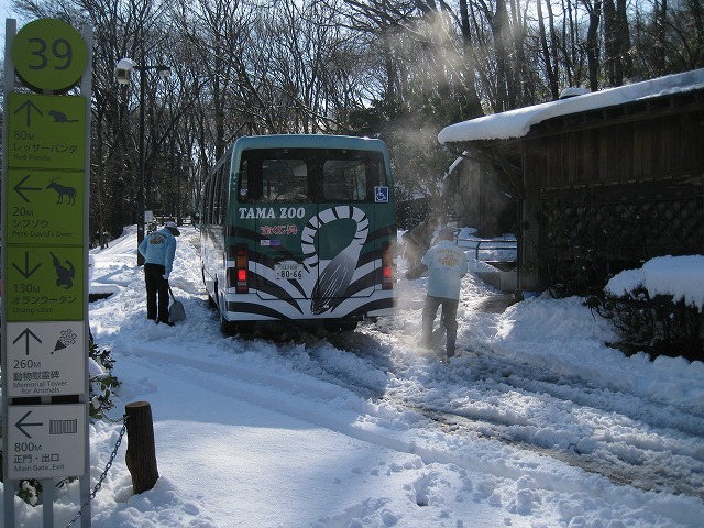 a0188771_23404266.jpg
