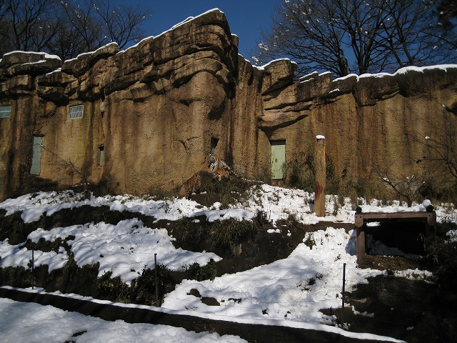 a0188771_23414025.jpg