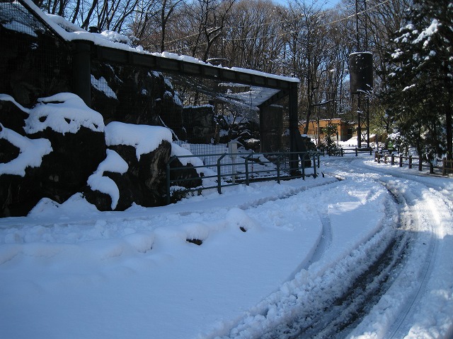 a0188771_2341435.jpg
