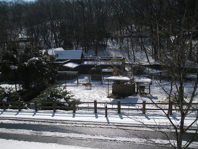 a0188771_23423896.jpg