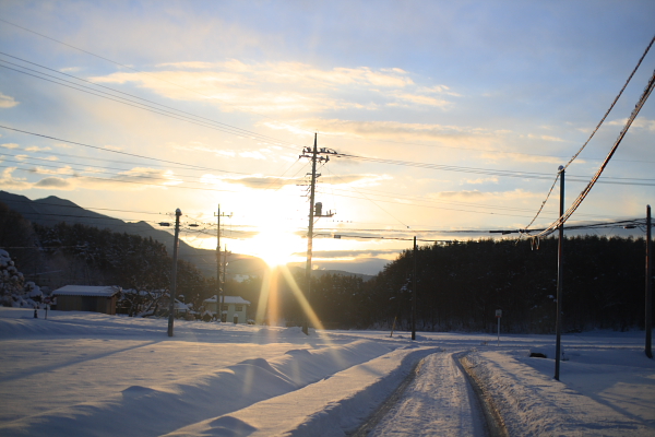 雪、午後から出勤_b0009671_22461264.jpg