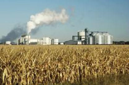 米国　燃料エタノール用GMトウモロコシを承認　混入恐れる食品企業や消費団体が猛反対_c0139575_20541363.jpg