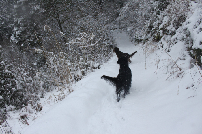 丹波篠山で雪遊びⅱ～♪_d0078080_16322092.jpg