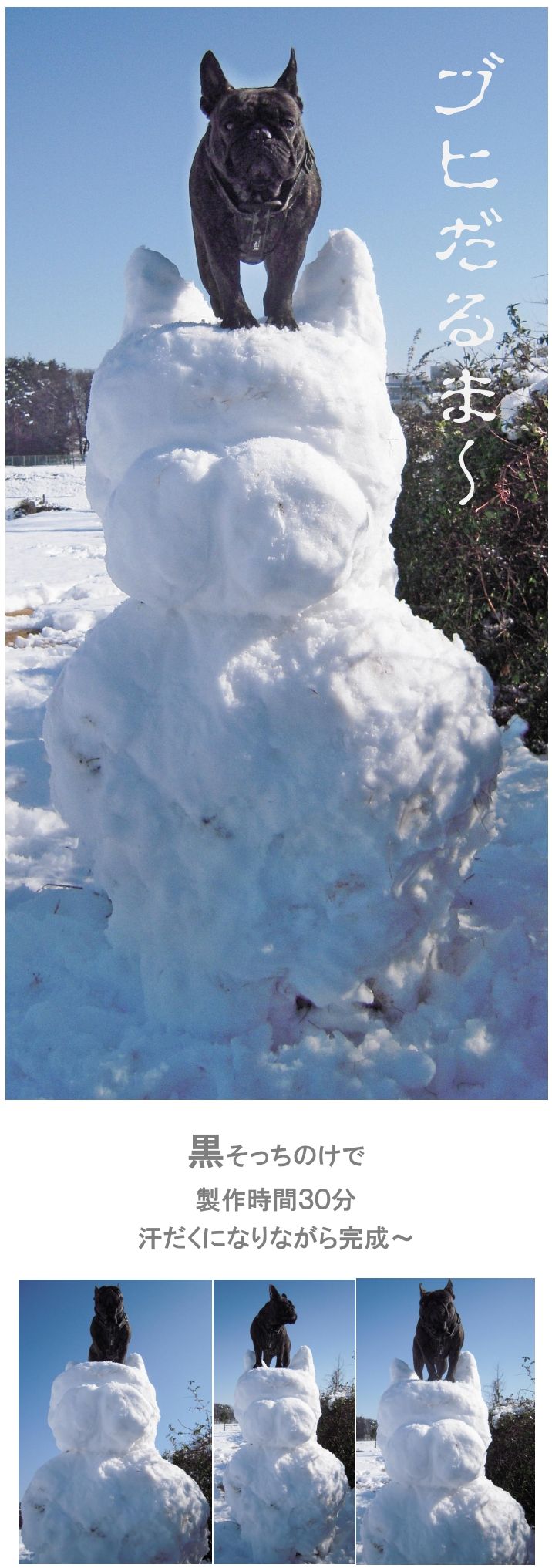 Snowman_e0199784_14283619.jpg