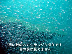 初プーケット♪_f0144385_22302341.jpg