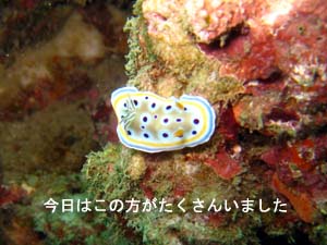 初プーケット♪_f0144385_2231968.jpg
