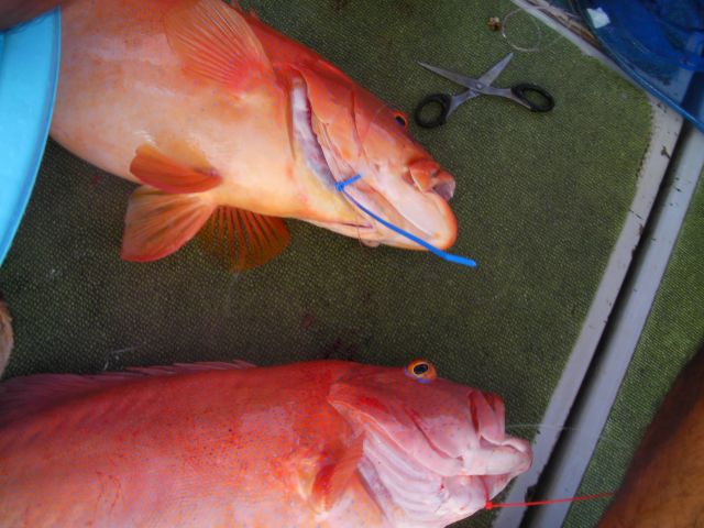 a0133388_18465421.jpg