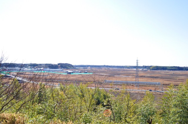 かぼちゃんの行きたい所は?_a0126590_22383616.jpg