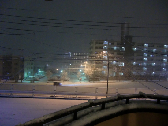 突然の大雪!_e0119092_9252191.jpg