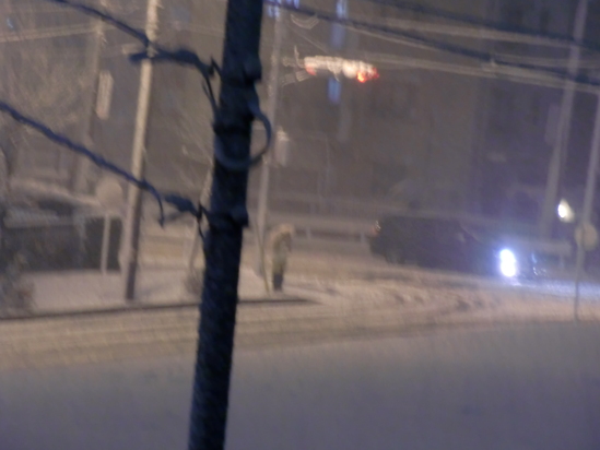 突然の大雪!_e0119092_9254873.jpg