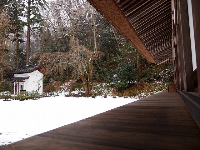 定点測定の場所（廣徳寺）_a0110794_073694.jpg