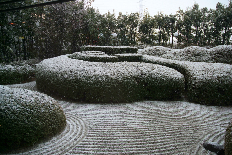 蓬莱庭園に雪_b0077394_1932195.jpg