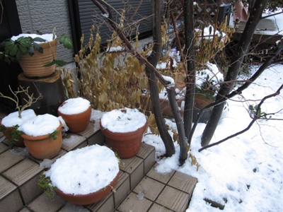 b0186899_1359377.jpg