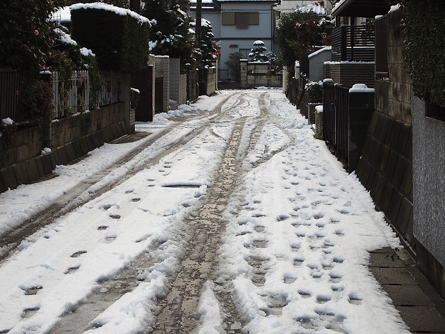 e0039703_012260.jpg