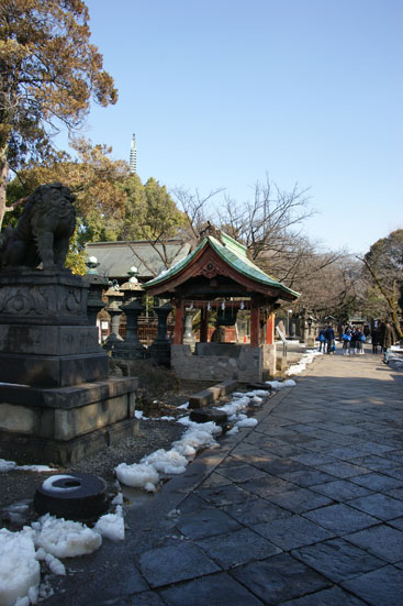 f0036603_22424222.jpg