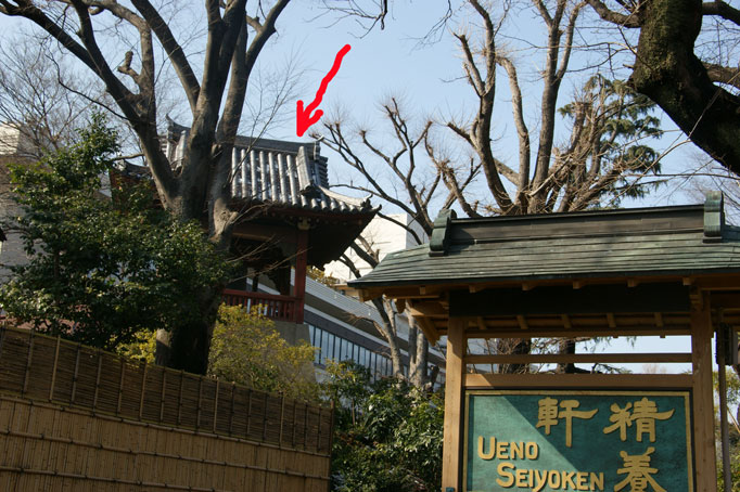 f0036603_22483772.jpg