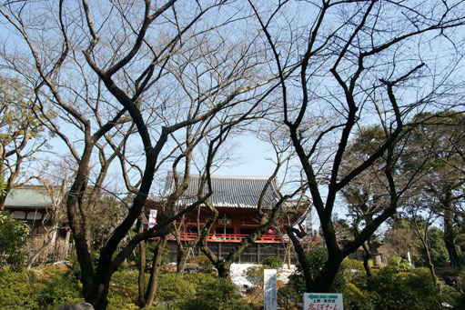 f0036603_22485491.jpg
