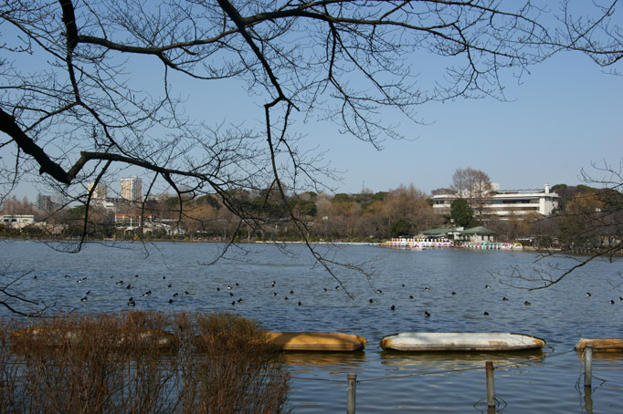 f0036603_22525216.jpg