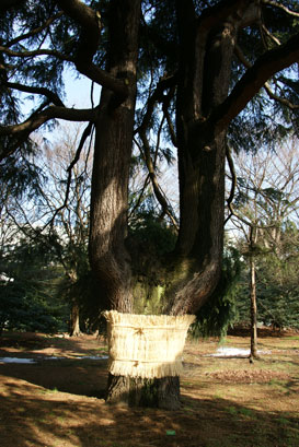 f0036603_22571911.jpg