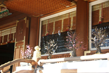 f0036603_2302812.jpg