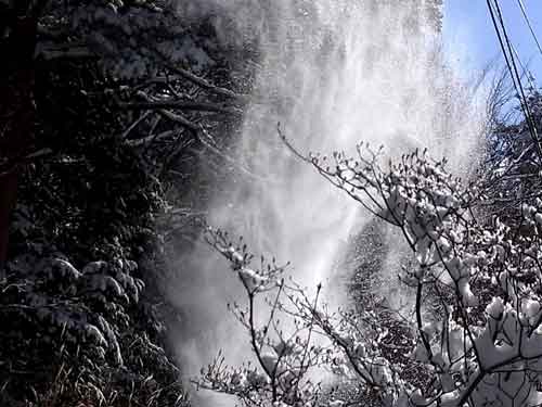 落下する雪　　　2011.02.16_e0001110_053084.jpg