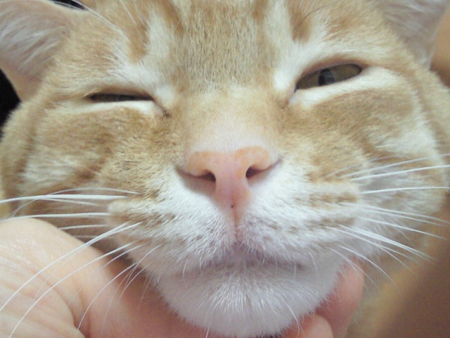 バガボンド、今日もリクエストたくさんありがとうございました~_f0178313_1571666.jpg