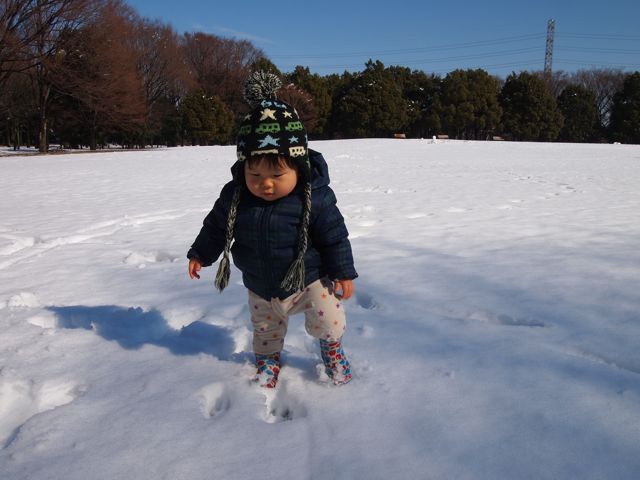 初めての雪遊び_a0151615_20481990.jpg