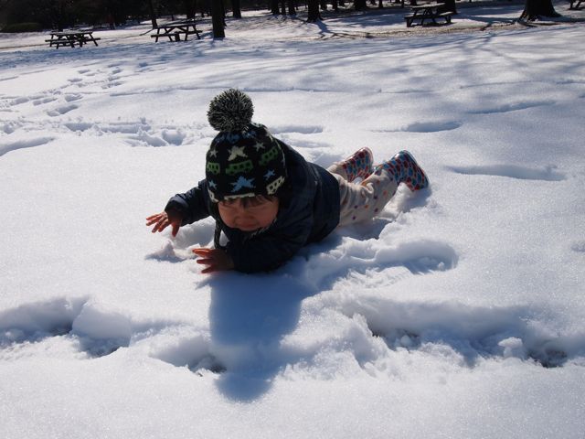 初めての雪遊び_a0151615_20581417.jpg