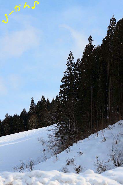 c0216518_21255650.jpg