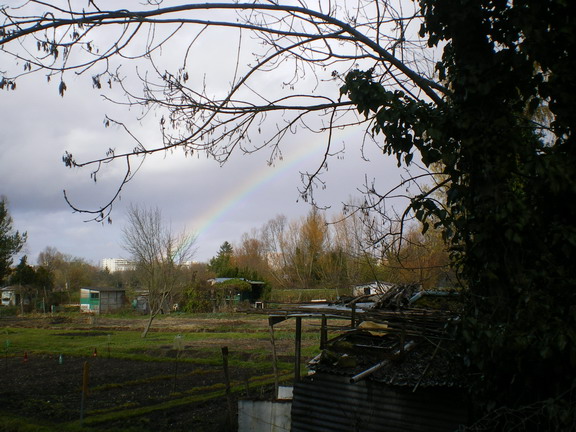 c0124619_75535.jpg