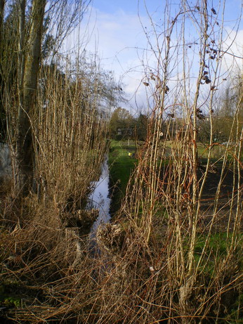 c0124619_7575575.jpg