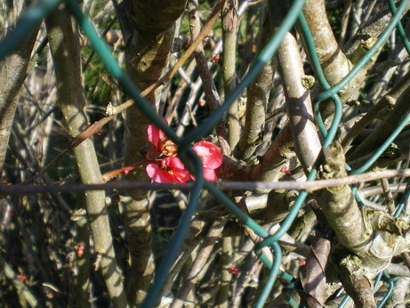c0124619_81122.jpg