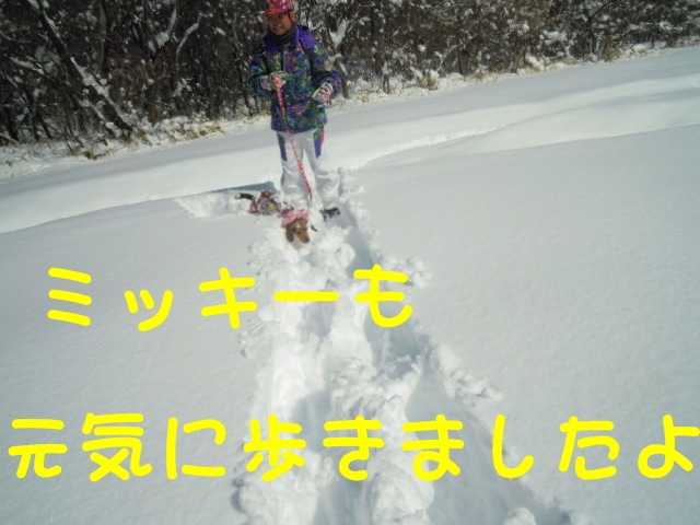 c0166622_16402230.jpg