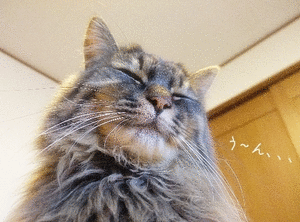 e0193822_012897.gif