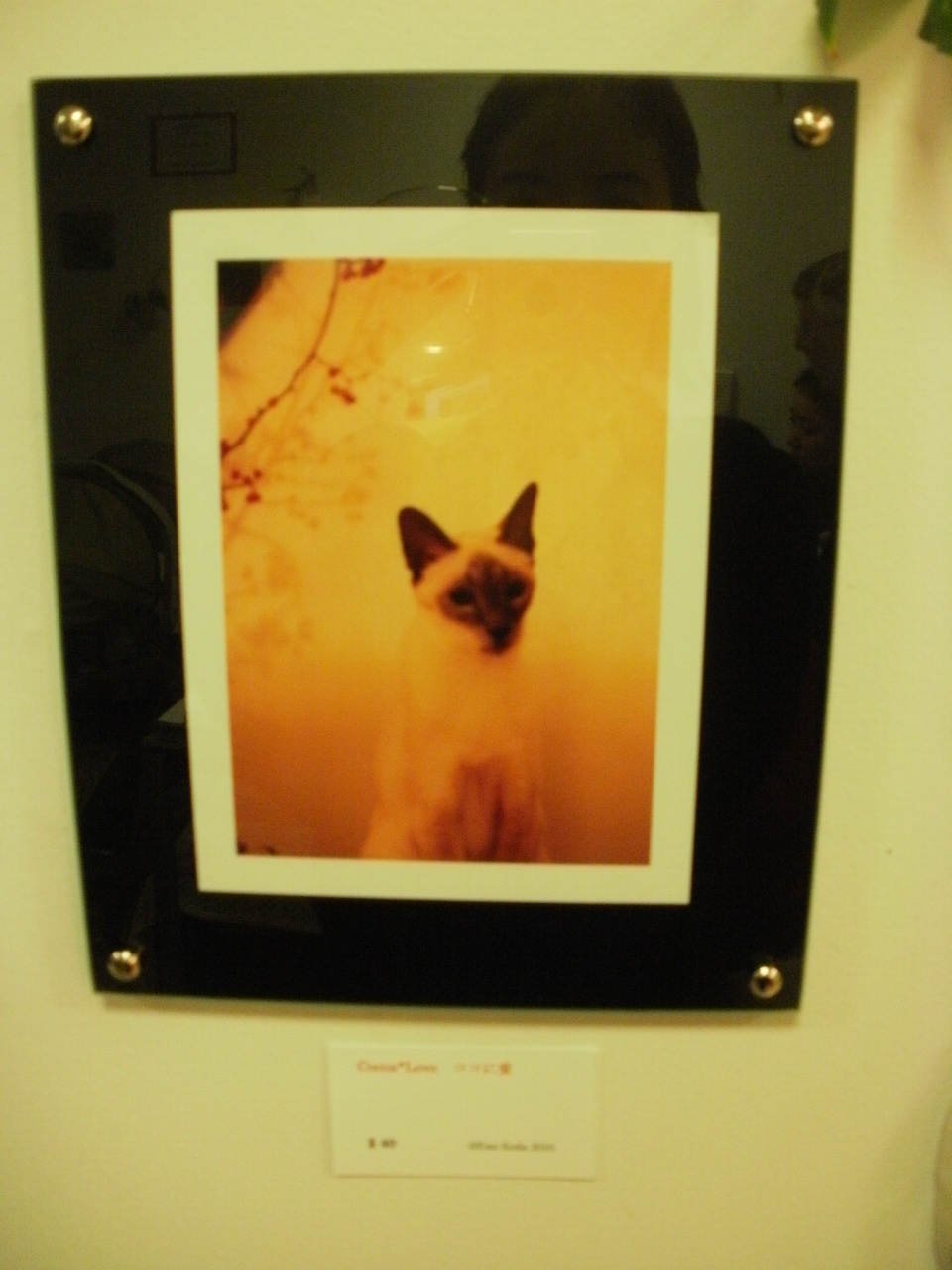 江美さんの展示話(続き)_f0095325_12542344.jpg