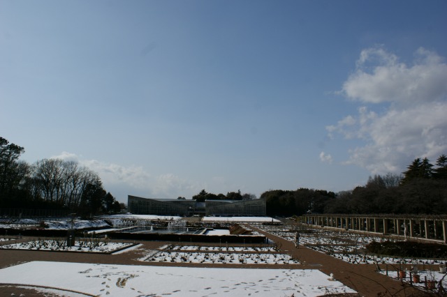 a0122932_9414232.jpg