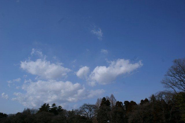 a0122932_9423727.jpg