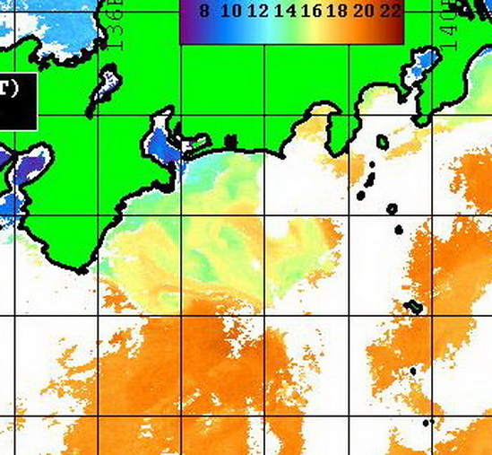 遠州灘に　東から反転流が入ってきそうな気配・・・ 【カジキ・マグロトローリング】_f0009039_13383494.jpg