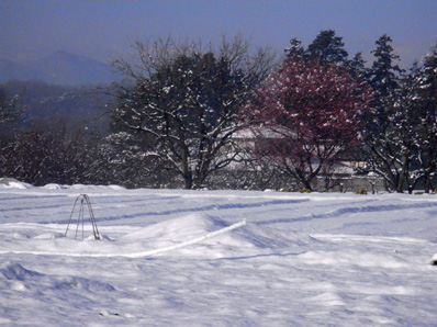 f0206939_22283953.jpg