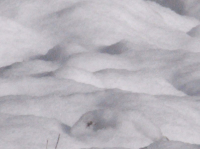 f0206939_2229820.jpg