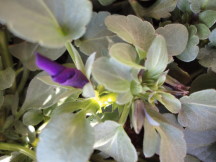 c0192740_9333981.jpg