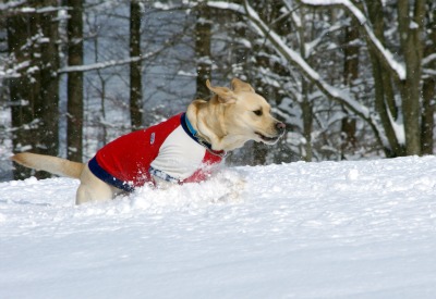 雪遊び♪PartⅡ_a0142343_1340463.jpg