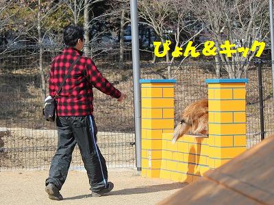 ボク専用高速道路だワン♪_e0195743_21165982.jpg