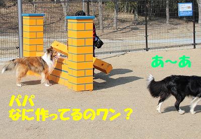 ボク専用高速道路だワン♪_e0195743_2117398.jpg
