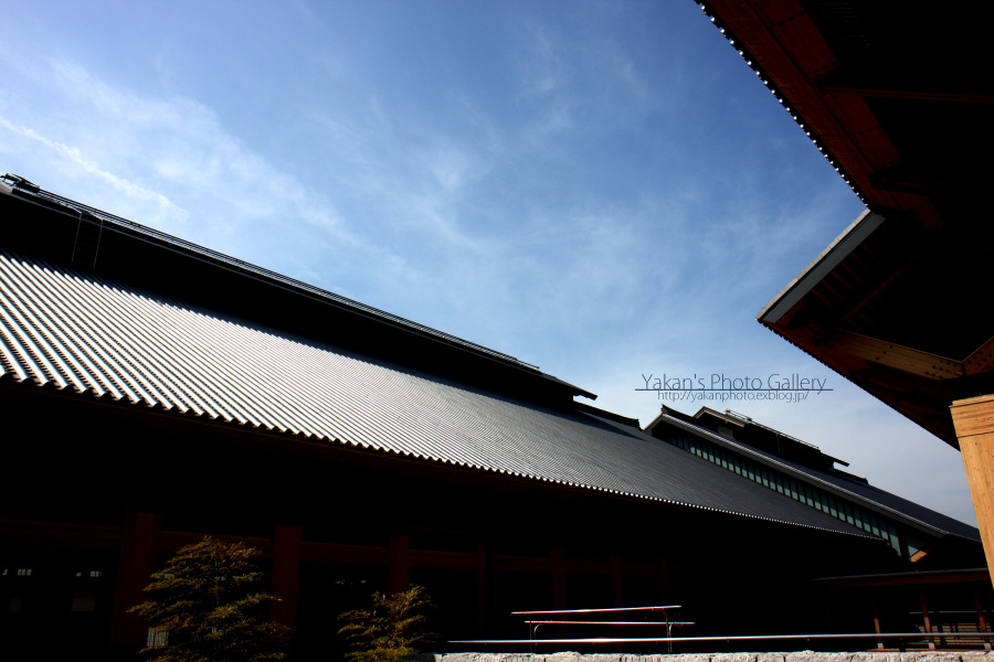 b0157849_1535169.jpg