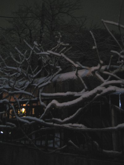 a0100152_2254914.jpg