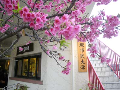 沖縄と諏訪_e0026053_20562498.jpg
