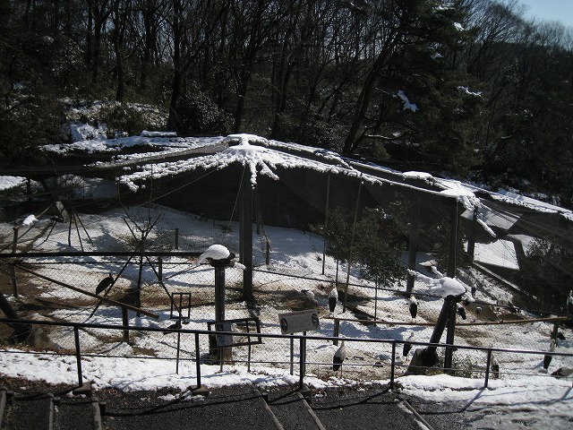 a0188771_7314481.jpg