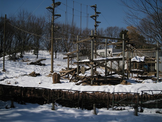 a0188771_732068.jpg